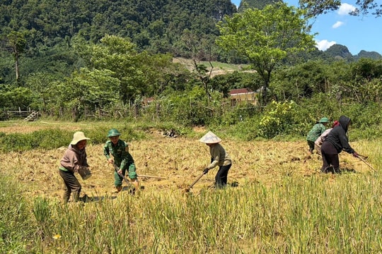 Những người lính gieo mùa trên cánh đồng Rục Làn