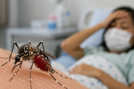 Malaysia reports sharp rise in dengue cases