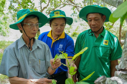 Hành trình kiến tạo những mùa vàng thịnh vượng