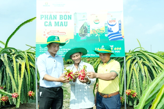 PVCFC đồng hành, hỗ trợ nhà nông vượt khó