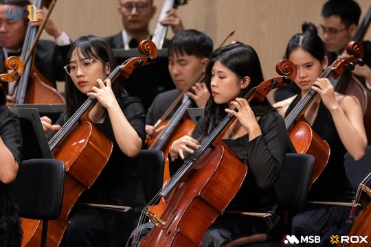 ROX Group đồng hành cùng “Frozen Fire”, tiếp nối hành trình kết nối văn hóa