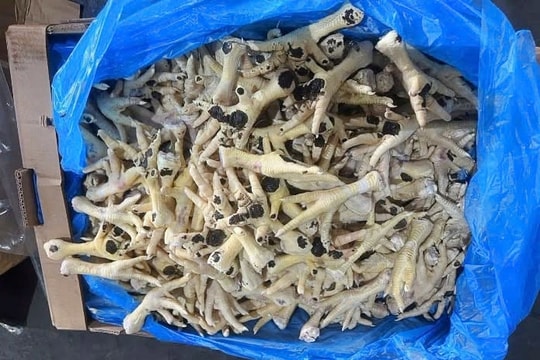 Nữ Giám đốc điều hành doanh nghiệp bán hàng nghìn tấn chân gà mốc đen ra thị trường khai gì tại cơ quan điều tra?