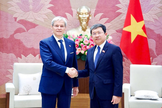 Phó Chủ nhiệm Thường trực Ủy ban Quốc phòng, An ninh và Đối ngoại Vũ Hải Hà tiếp Cố vấn của Tổng thống Romania