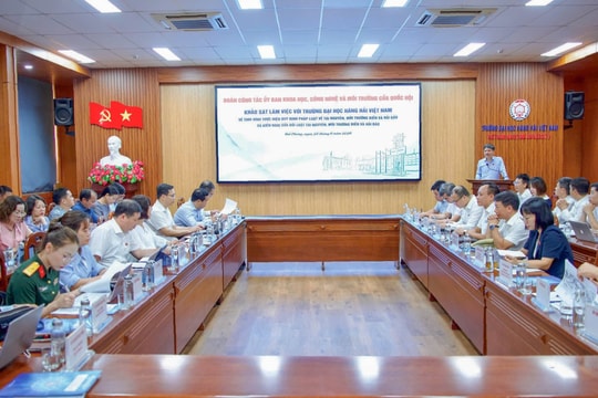 Cần hoàn thiện quy định về kiểm soát nước dằn tàu và an toàn sinh học cảng biển