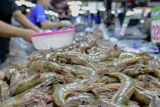 Malaysia, Thailand advance negotiations to address temporary suspension of shrimp imports