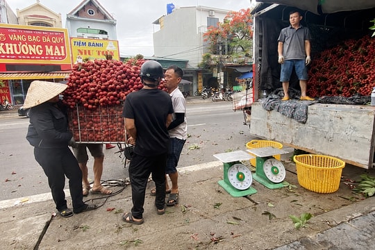 Bắc Ninh thu gần 6.000 tỷ đồng nhờ giá vải thiều cao