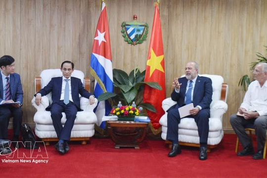 Vietnam, Cuba promote comprehensive cooperation in new development stage