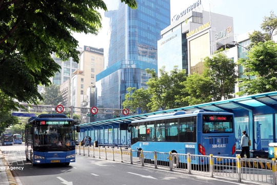 Ho Chi Minh City announces 134 free bus routes