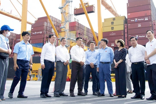 Cần chính sách ưu đãi vượt trội cho các dự án logistics đa phương thức