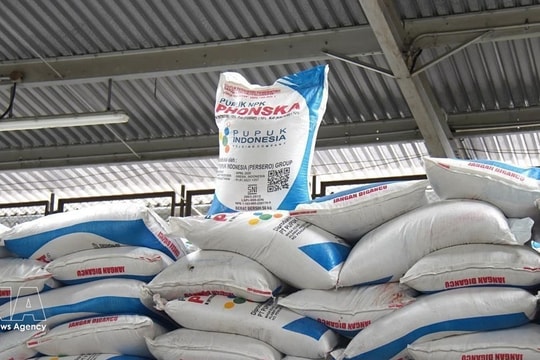Indonesia in talks with Asian countries on fertiliser exports