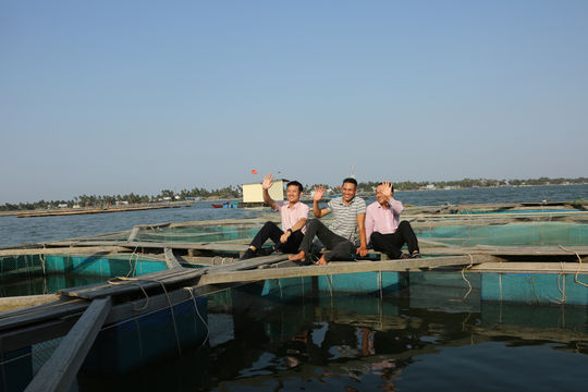 Nâng cánh ước mơ xanh