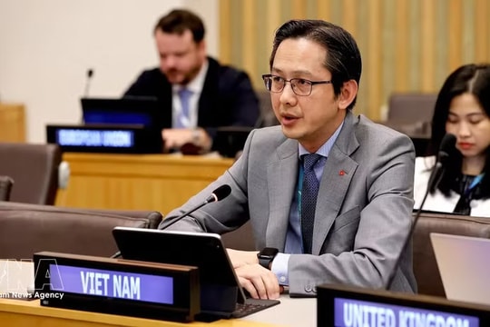 Vietnam attends annual session of UN Women Executive Board