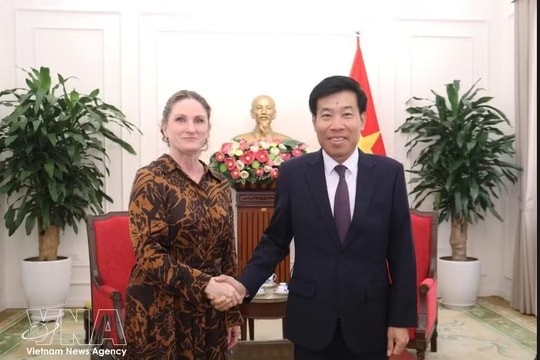 New Zealand seeks to unlock cooperation potential with Vietnam