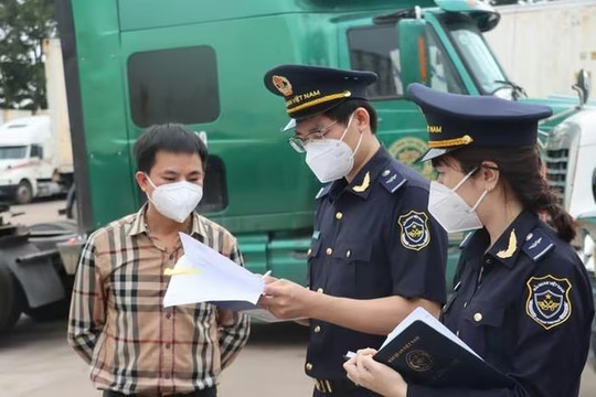 Hải quan không yêu cầu doanh nghiệp nộp bảng kê lâm sản khi làm thủ tục xuất khẩu