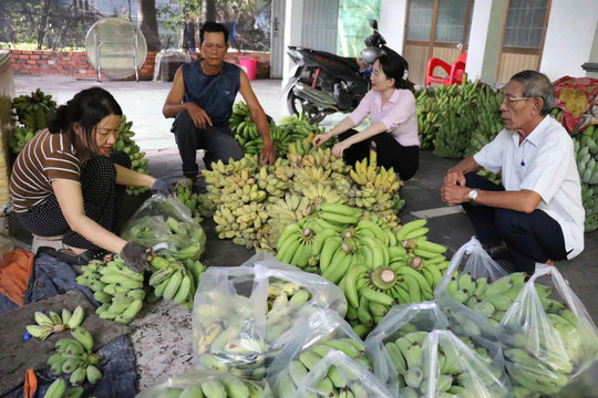 Bài 1: Vốn nhỏ, sinh kế mới