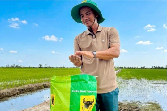 Hồi sinh đất phèn để cho cánh đồng lúa luôn xanh khỏe
