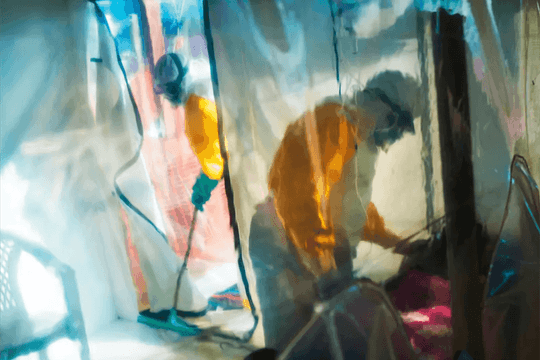 50 năm truy tìm nguồn gốc Ebola: Bí ẩn chưa có lời giải