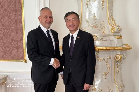 Vietnam, Czech Republic strengthen legislative cooperation