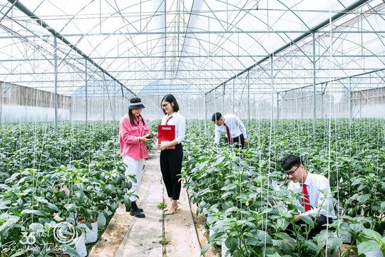 Bài 1: Dẫn vốn quốc tế về quê hương