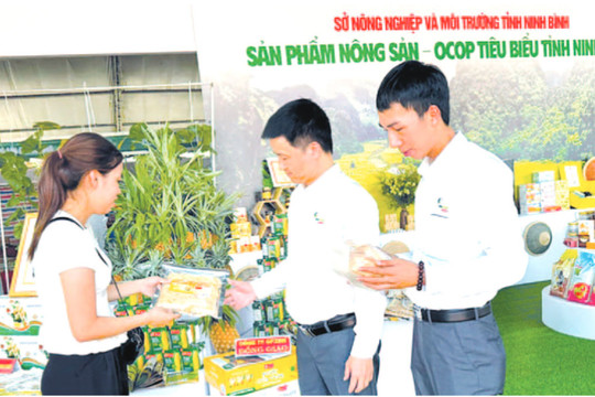 Khuyến công tạo động lực mới cho công nghiệp nông thôn Ninh Bình