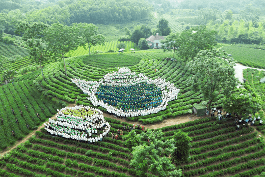 Trải nghiệm Vô Tranh – Dấu ấn Xứ trà