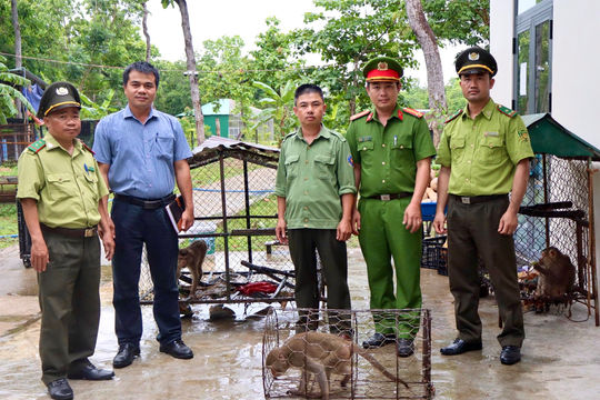 Đắk Lắk : Người dân tự nguyện giao nộp 3 cá thể khỉ quý hiếm