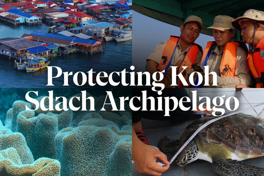 Cambodia steps up efforts to conserve aquatic resources