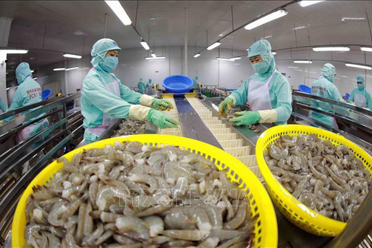 Xuất khẩu nông, lâm, thủy sản 6 tháng đạt gần 36 tỷ USD