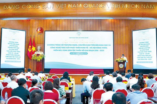 Mở hướng cho ngành dược liệu phát triển