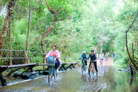 Giữ màu xanh, khai phá tiềm năng kinh tế rừng
