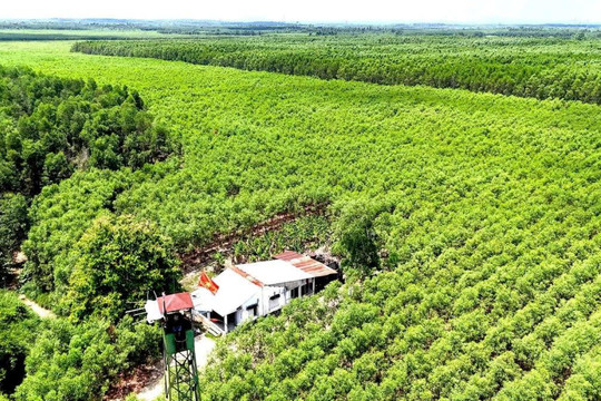 Nguồn lực hỗ trợ tái cấu trúc hạ tầng môi trường