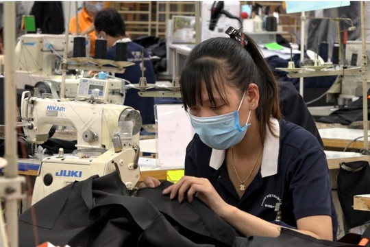 TP. Hồ Chí Minh: Thực hiện Đề án “Phát triển quan hệ lao động tại thành phố giai đoạn 2026 - 2031”