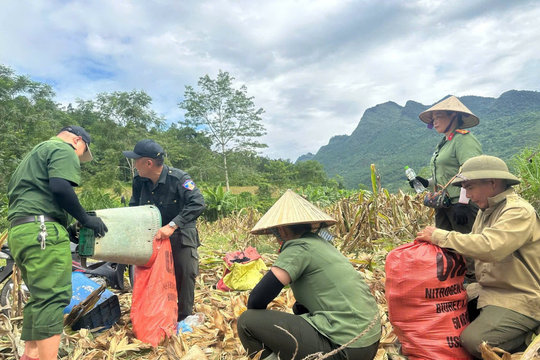 Tuyên Quang: Công an xã giúp cựu chiến binh thu hoạch hoa màu, khắc phục hậu quả thiên tai