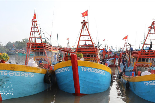 Dong Thap tightens fisheries management to combat IUU fishing