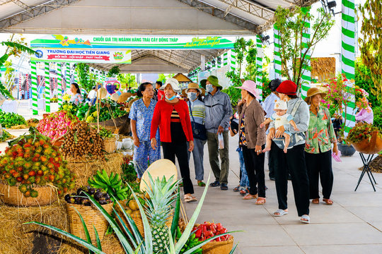 Đồng Tháp: Nhiều điểm sáng trong phát triển kinh tế - xã hội