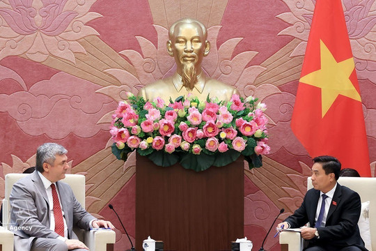 Vietnamese NA supports stronger local cooperation with Russia