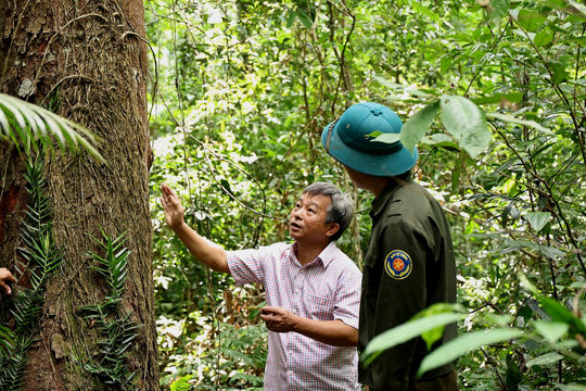 “Báu vật” giữa đại ngàn Trường Sơn