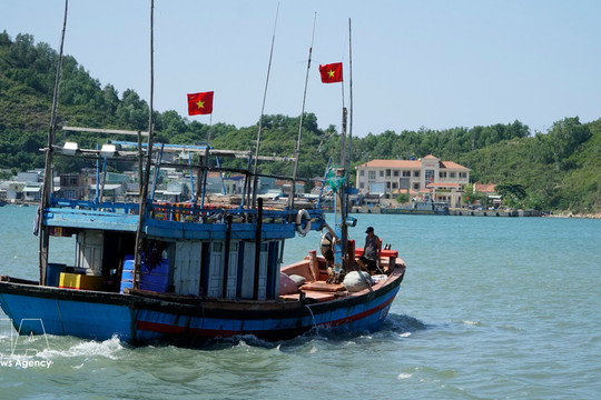 Gia Lai steps up fight against IUU fishing through stricter enforcement, awareness