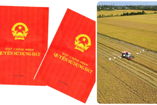 An Giang: Đồng bộ hơn 2,3 triệu thửa đất lên cơ sở dữ liệu quốc gia