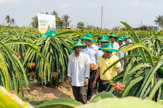 Điểm tựa cho mùa vụ