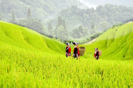 Thu nhập bình quân của người Việt đạt 6 triệu đồng/tháng