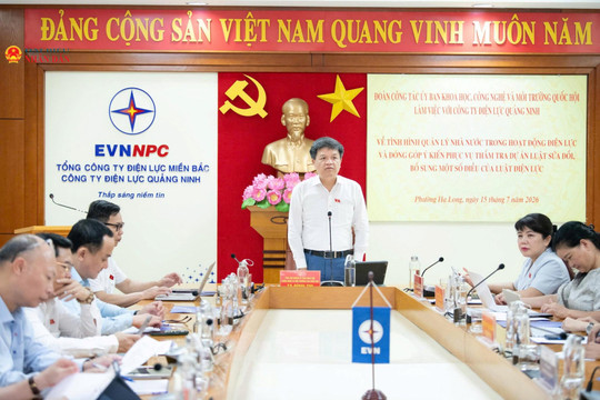 Làm rõ cơ chế phân cấp, phân quyền trong quản lý điện lực