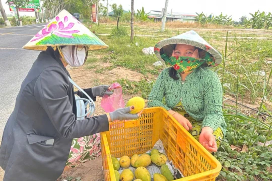 Đồng Tháp chú trọng phát triển nông dân số