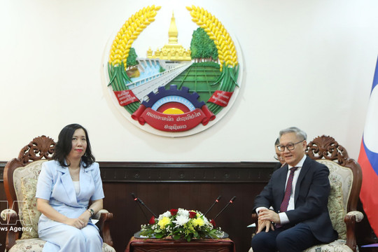Vietnam, Laos strengthen cooperation on overseas community affairs