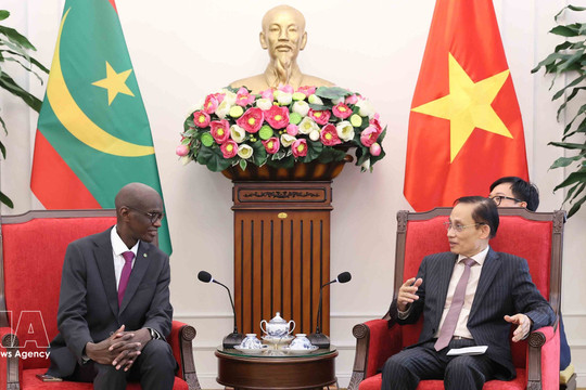 Vietnam treasures traditional friendship with Mauritania: FM