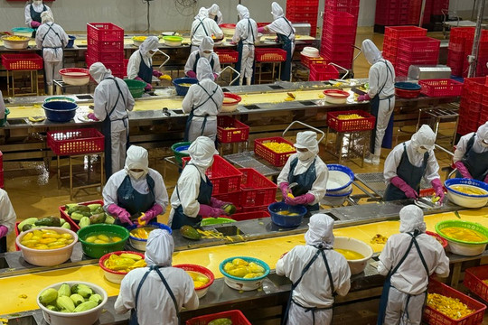 Cục Hải quan: Ưu tiên tạo thuận lợi thông quan với hàng hóa nông sản xuất khẩu