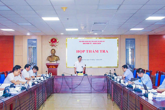 Hỏi: Hoạt động thẩm tra của Hội đồng nhân dân được quy định như thế nào?