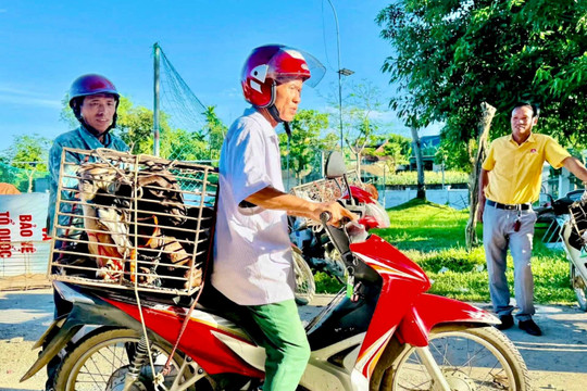 Nghệ An phấn đấu giảm tỷ lệ nghèo đa chiều từ 0,5% - 1,5% mỗi năm