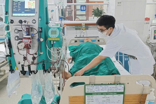 Ăn mật cá trắm để chữa bệnh, người đàn ông nguy kịch