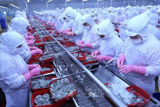 Cánh cửa EFTA rộng mở với thủy sản Việt Nam